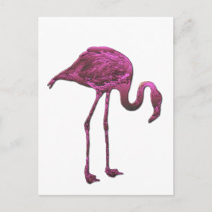 flamingo postcard