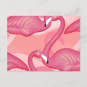 Flamingo Postcard