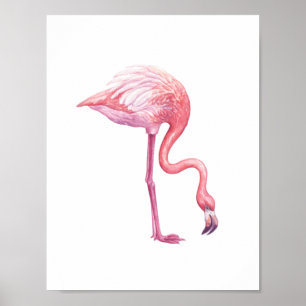 Flamingo Poster