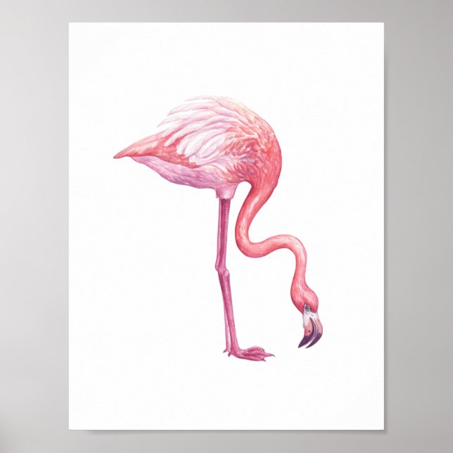 Flamingo Poster (Front)