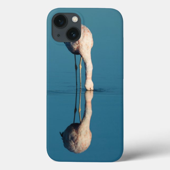 Flamingo Reflection, Laguna Chaxa, Atacama Case-Mate iPhone Case (Back)