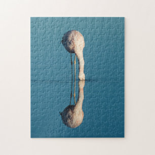 Flamingo Reflection, Laguna Chaxa, Atacama Jigsaw Puzzle
