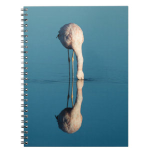 Flamingo Reflection, Laguna Chaxa, Atacama Notebook