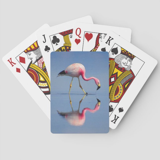flamingo reflection playing cards (Back)