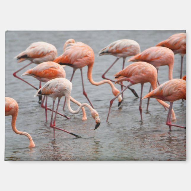 Flamingo Refrigerator Magnet (Front)