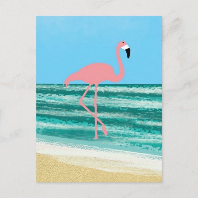 Flamingo Series 2 Postcard (Front)