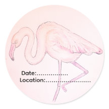 Flamingo sticker for Birdwatchers