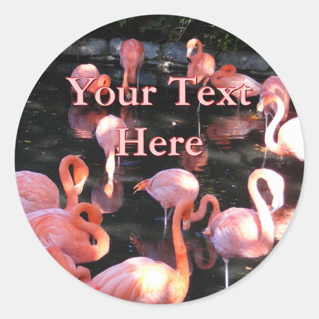 Flamingo Stickers (Front)