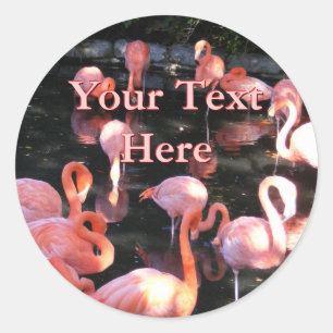 Flamingo Stickers