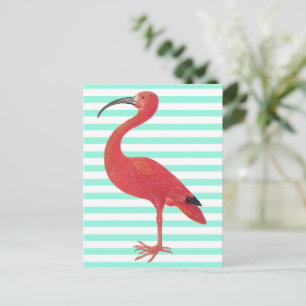 Flamingo & Teal stripes - Fine Art Postcard