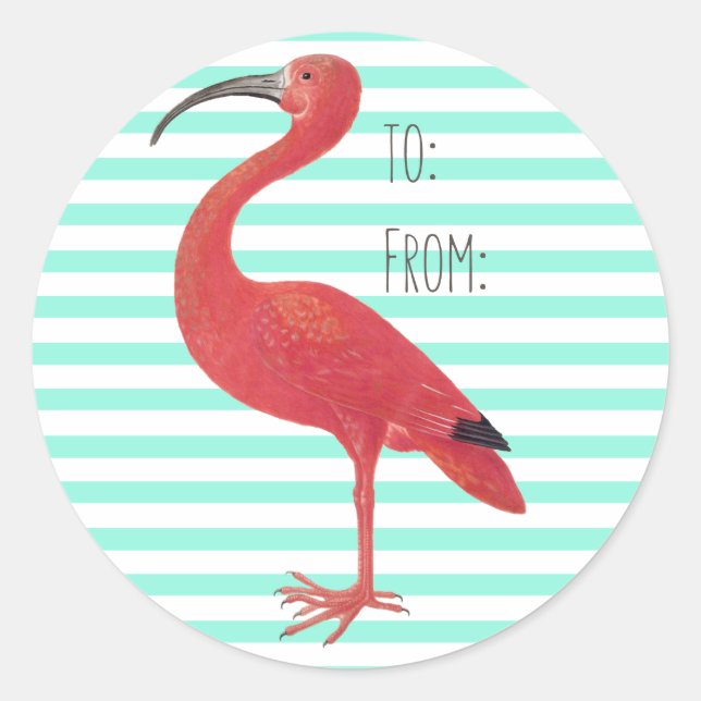 Flamingo & Teal stripes - Fine Art Sticker (Front)