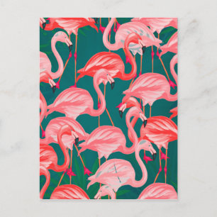 flamingo tropical summer postcard