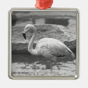 Flamingo wading in water B&W Metal Ornament