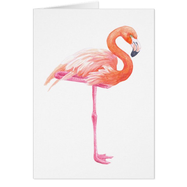 Flamingo watercolor (Front)