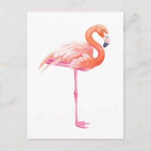 Flamingo watercolor postcard