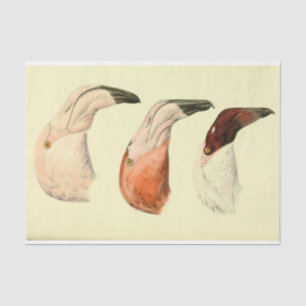 Flamingoes Bird Ephemera Decoupage Tissue Paper