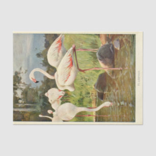 Flamingoes Bird Ephemera Decoupage Tissue Paper