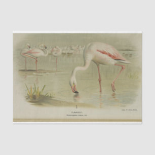 Flamingoes Birds Ephemera Decoupage Tissue Paper