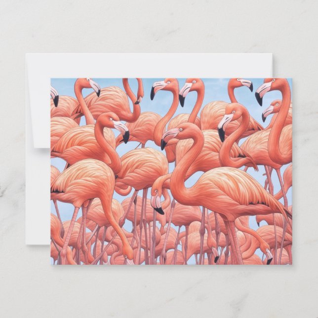 Flamingoes, Greeting Card (Front)