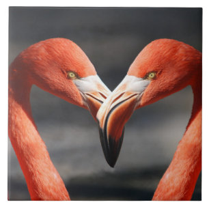 Flamingoes in Love Tile
