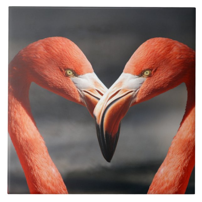 Flamingoes in Love Tile (Front)