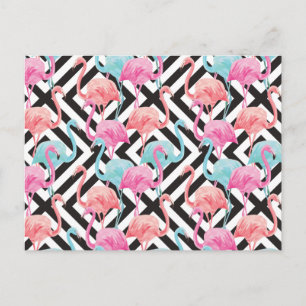Flamingoes on Bold Design Pattern Postcard