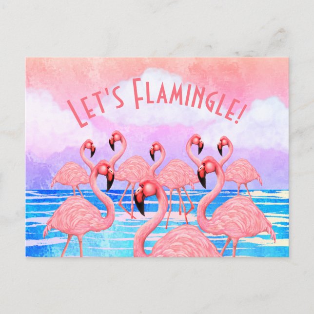 Flamingoes on Parade Postcard (Front)