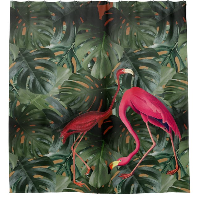Flamingos (Front)