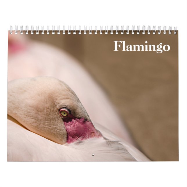 Flamingos 2026 calendar (Cover)