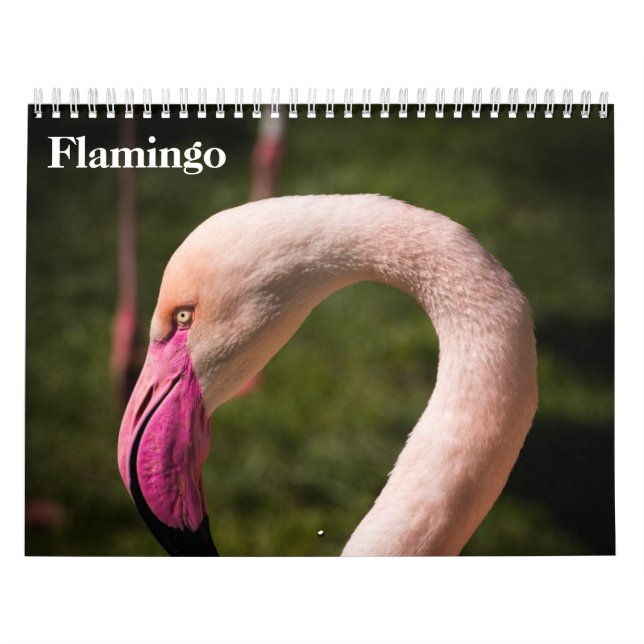 Flamingos 2026 calendar (Cover)