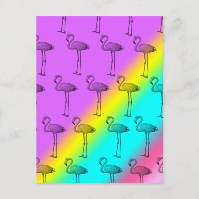 Flamingos 2 postcard (Front)