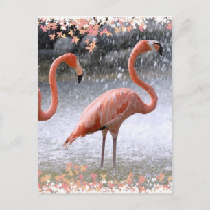 Flamingos and waterfall postcard