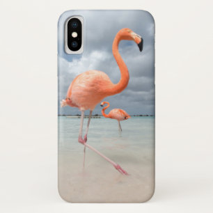 Flamingos Beach Aruba Case-Mate iPhone Case