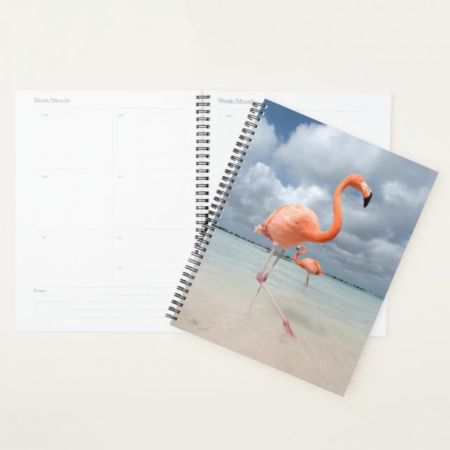 Flamingos Beach Aruba Planner (Display)