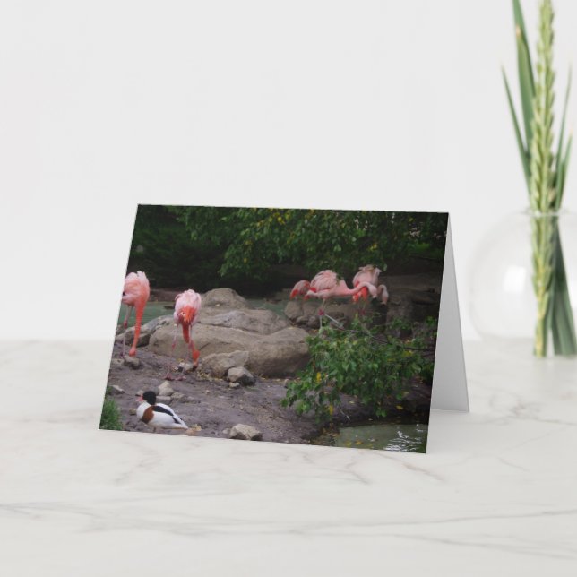 "Flamingos & Duck" Thank You Card (Front)