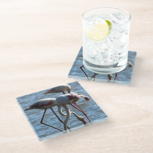 Flamingos Feeding Time Acrylic Painting Glass Coaster