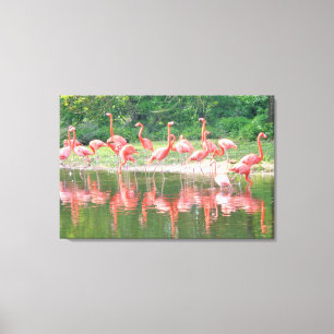 Flamingos in Row at Lake, Wildlife Nature Birds Canvas Print