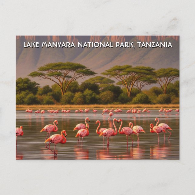 Flamingos in Tanzania Lake Manyara National Park Postcard (Front)