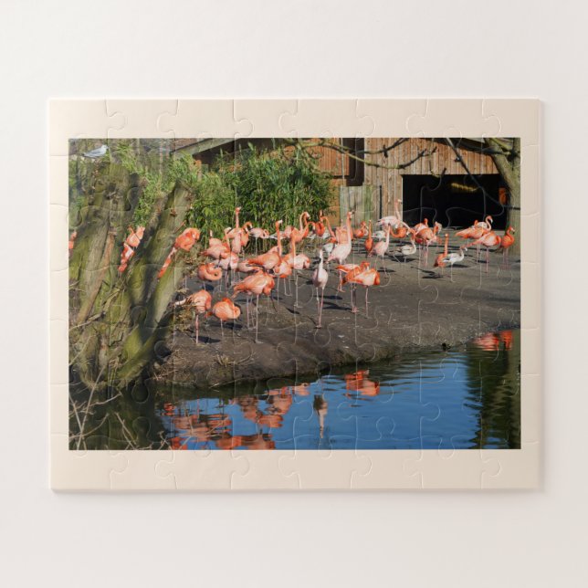 Flamingos Jigsaw Puzzle (Horizontal)
