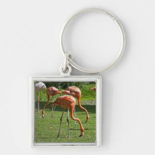 Flamingos Keychain