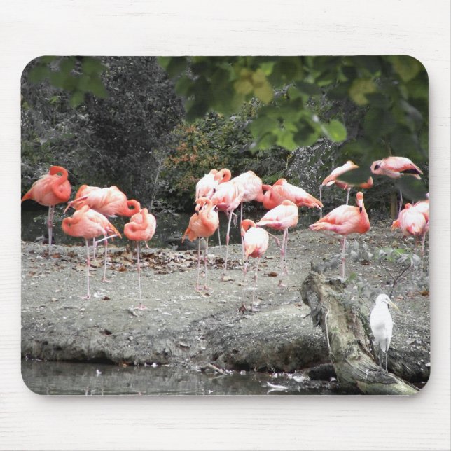 flamingos mouse pad (Front)