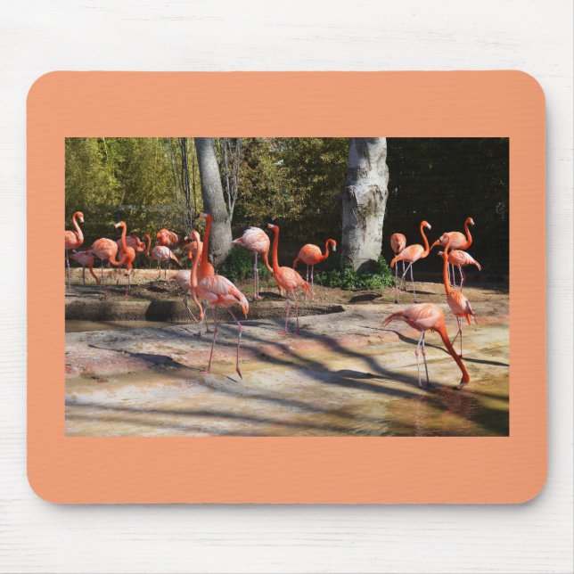 Flamingos Mouse Pad (Front)