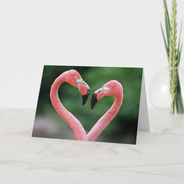 Flamingos note card (Front)