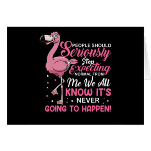 Flamingos People Should Stop Expecting Normal