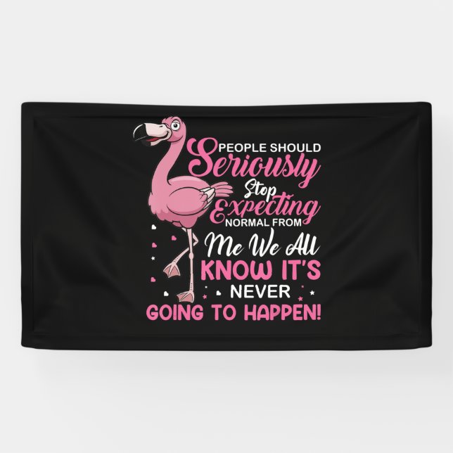 Flamingos | People Should Stop Expecting Normal Banner (Horizontal)
