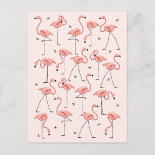 Flamingos Pink postcard