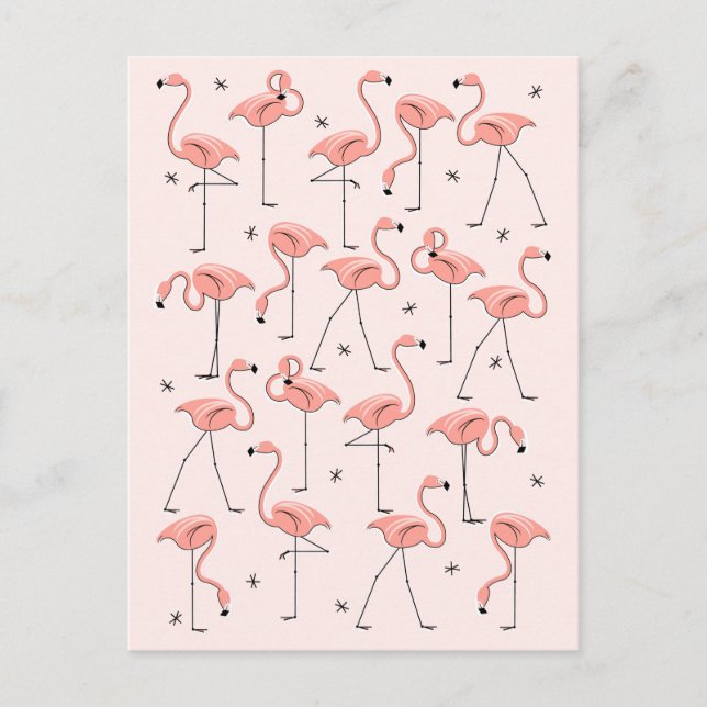 Flamingos Pink postcard (Front)