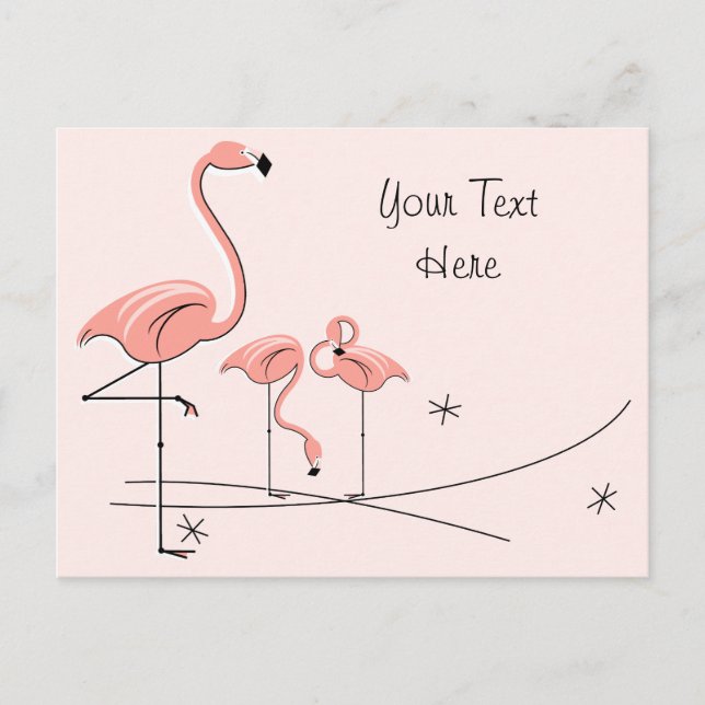 Flamingos Pink Trio 4 Text postcard (Front)