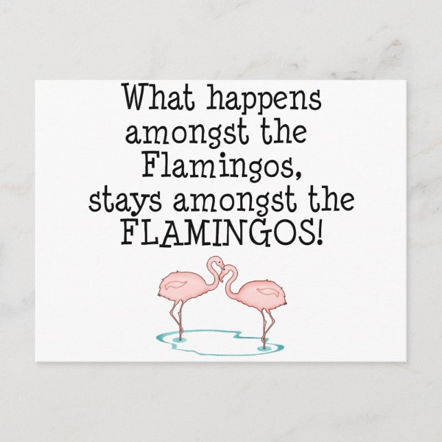 Flamingos Postcard (Front)