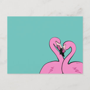 Flamingos Postcard